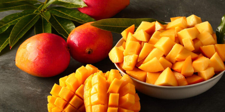 हापूस आंबा जाणार अमेरिकी बाजारपेठेत