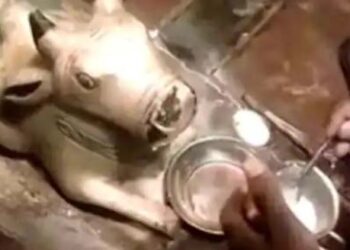 नंदीला दूध पाजण्यासाठी देशभर गर्दी, अंधश्रद्धेवर तज्ज्ञांकडून स्पष्टीकरण