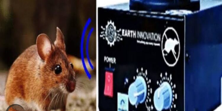 जगन्नाथ मंदिरात देवाची झोपमोड होतेय